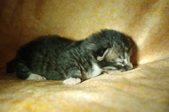 Enlarge photo 24