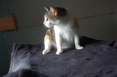 Enlarge photo 27