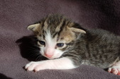 Enlarge photo 9