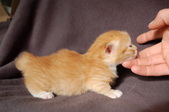 Enlarge photo 11