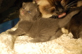 Enlarge photo 20