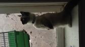 Enlarge MOV 16