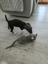 Enlarge photo 14