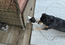 Enlarge photo 33