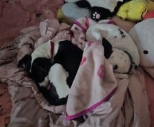 Enlarge photo 14