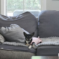 Enlarge photo 9