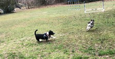 Enlarge photo 3