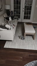 Enlarge MPEG4 12