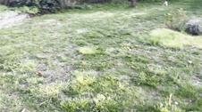 Enlarge MOV 10