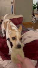 Enlarge MOV 24