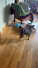 Enlarge MOV 25