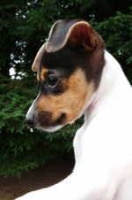 Enlarge photo 2