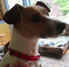 Nash