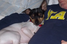 Enlarge photo 2