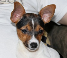 Greta