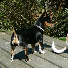 Enlarge photo 3