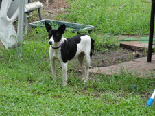 Enlarge photo 3