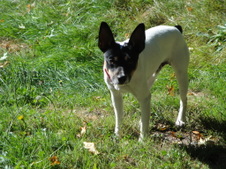 Enlarge photo 3