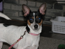 Kensey