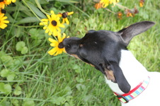 Enlarge photo 4