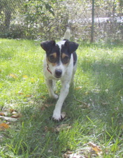 Enlarge photo 3