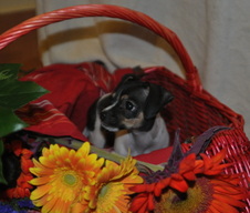 Enlarge photo 5