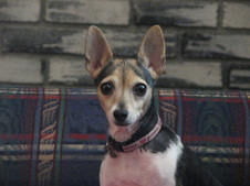 Tinkerbell