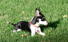 Enlarge photo 4