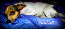 Juliet