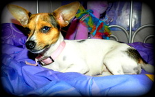 Enlarge photo 2
