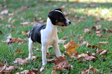 Enlarge photo 8