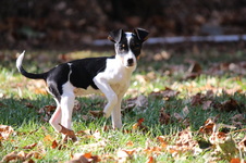 Enlarge photo 9