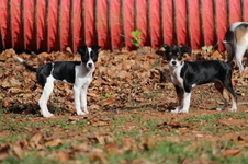 Enlarge photo 5
