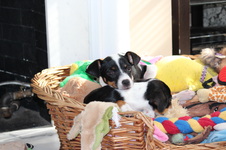 Enlarge photo 12