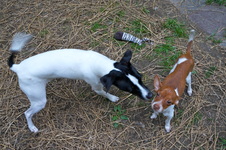 Enlarge photo 5