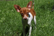 Enlarge photo 12