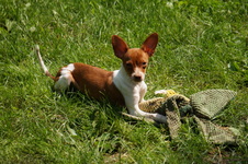 Enlarge photo 10