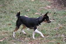 Enlarge photo 3
