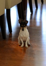 Enlarge photo 3