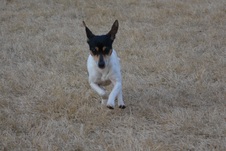 Enlarge photo 4