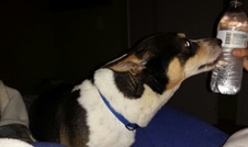 Enlarge photo 3