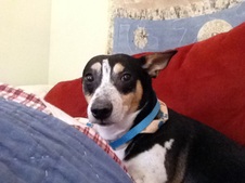 Charlie