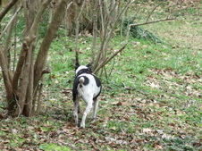 Enlarge photo 15
