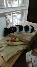 Enlarge photo 4
