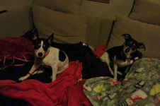 Enlarge photo 4