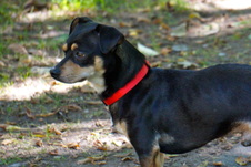 Enlarge photo 20