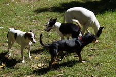 Enlarge photo 7