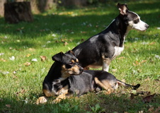 Enlarge photo 9