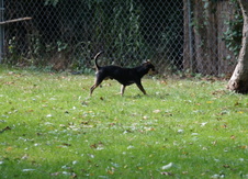 Enlarge photo 12