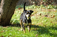 Enlarge photo 21